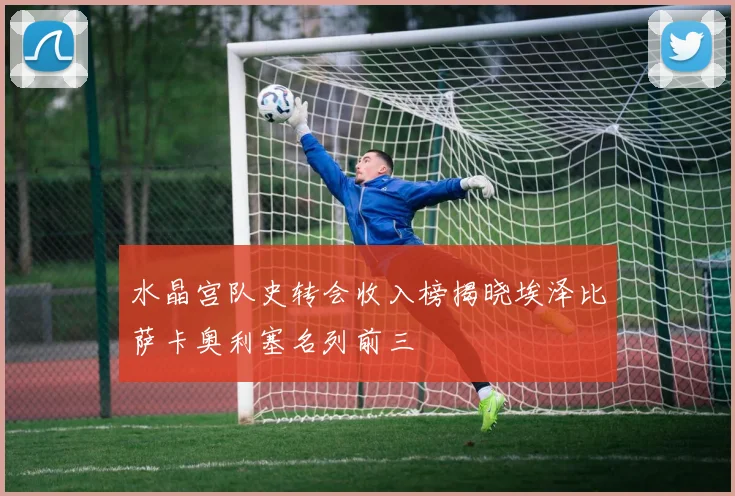 水晶宫队史转会收入榜揭晓埃泽比萨卡奥利塞名列前三