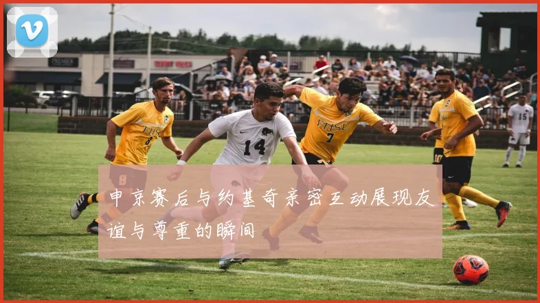申京赛后与约基奇亲密互动展现友谊与尊重的瞬间