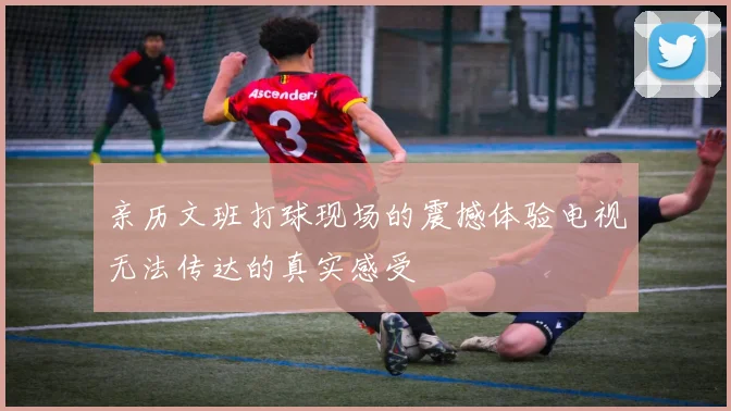亲历文班打球现场的震撼体验电视无法传达的真实感受